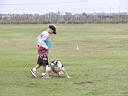 02ov00376.jpg