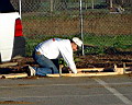 03mv00022.jpg